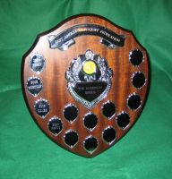 Anderson Shield